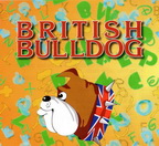Международный конкурс по английскому языку «British Bulldog»